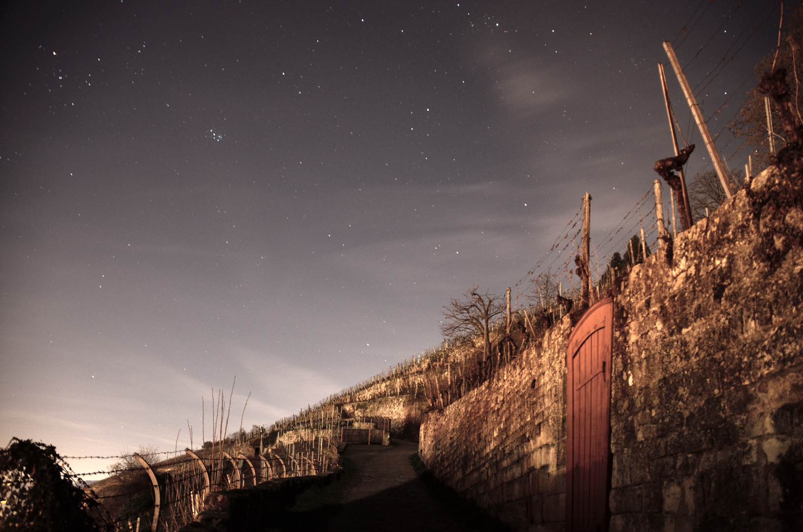 Weinberge bei Nacht