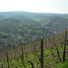 Weinberge bei Oberheimbach.