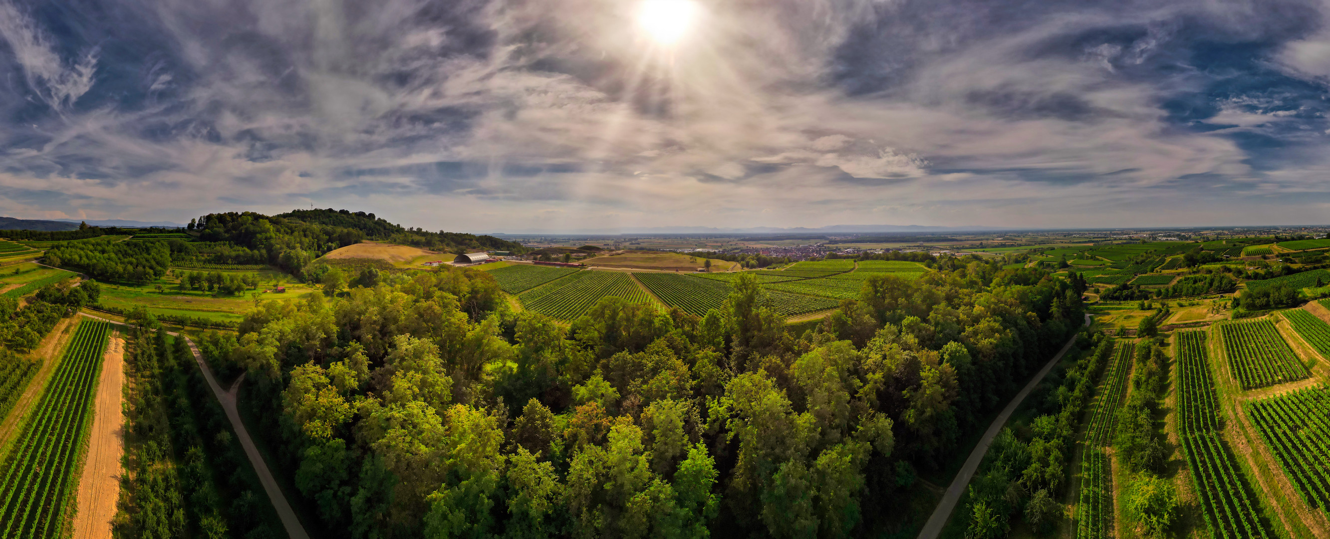 Weinberge bei Ringsheim in Baden 