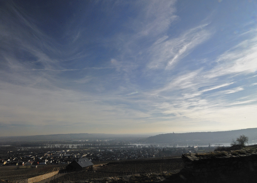 Weinberge bei Rüdesheim und - über dem Rhein - der Rochusberg bei Bingen