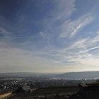 Weinberge bei Rüdesheim und - über dem Rhein - der Rochusberg bei Bingen