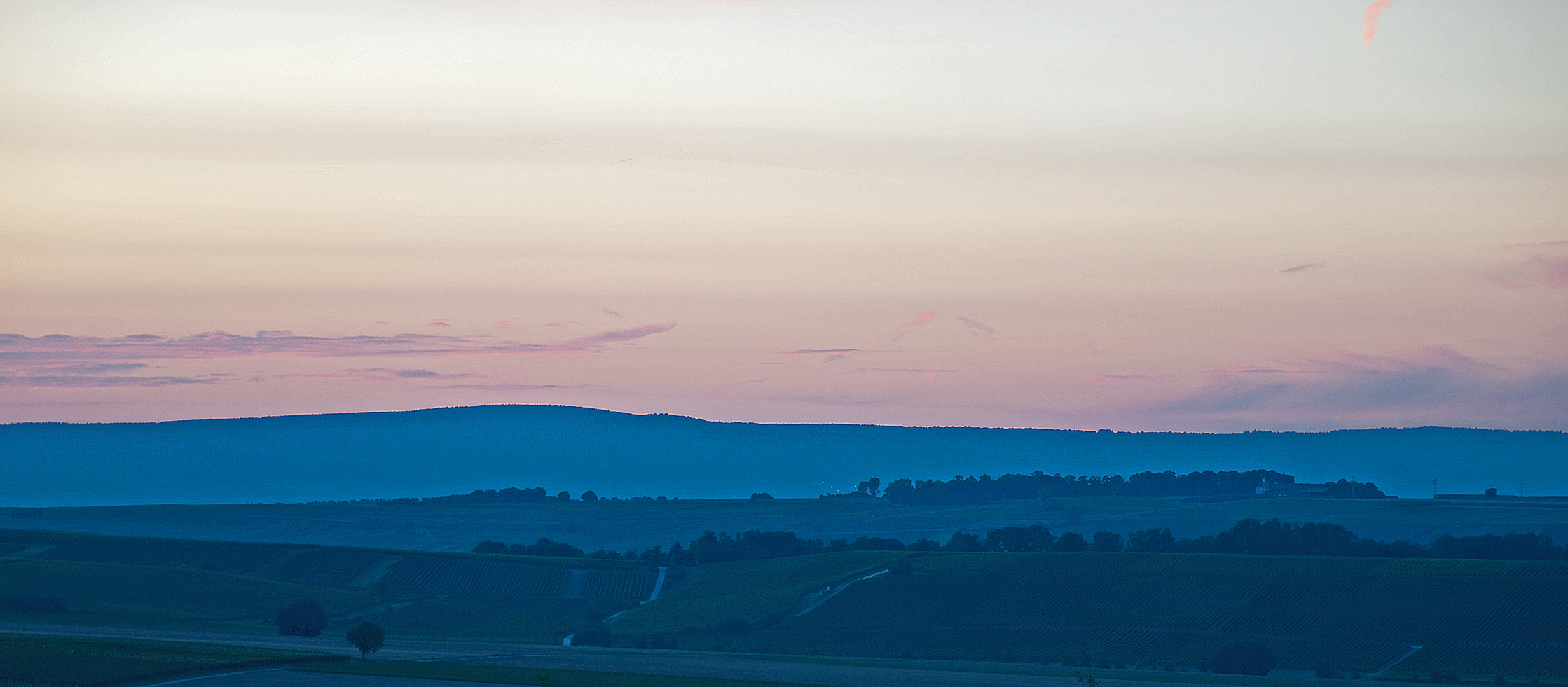 Weinberge bei Saulheim nach Sonnenuntergang