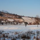 Weinberge bei Schulpforta