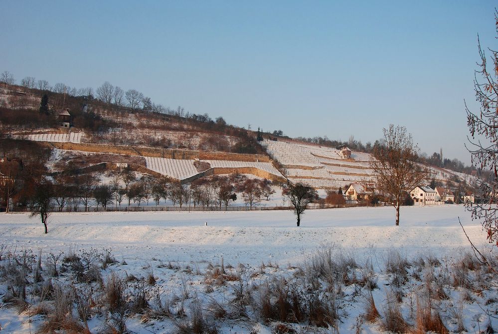 Weinberge bei Schulpforta