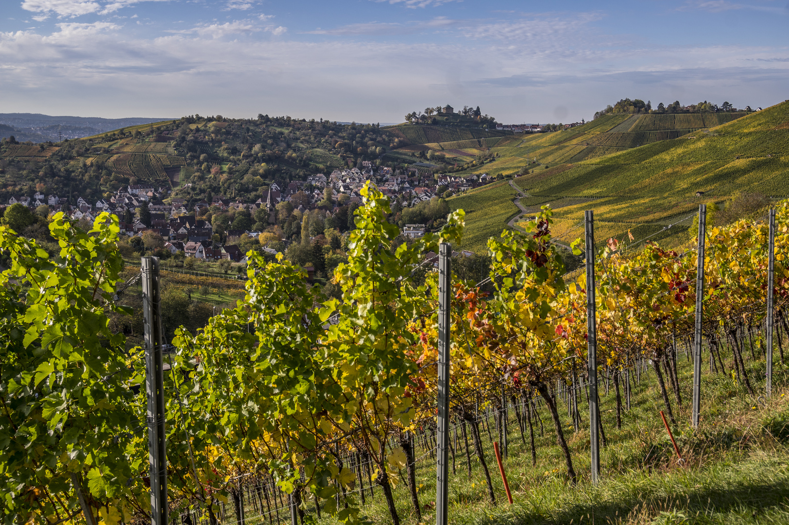 Weinberge bei Uhlbach