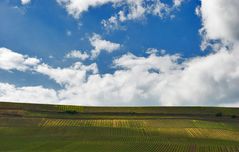 Weinberge bei Wormeldange