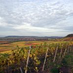 Weinberge Bullenheim