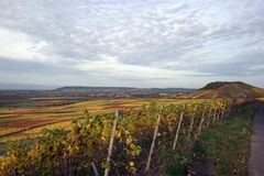 Weinberge Bullenheim