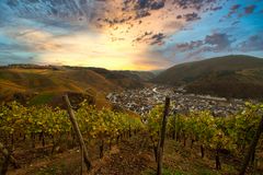 Weinberge by Tony