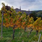 Weinberge