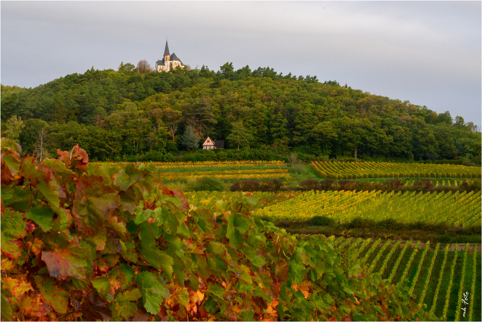 Weinberge