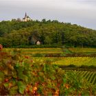 Weinberge