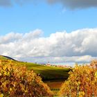 weinberge.