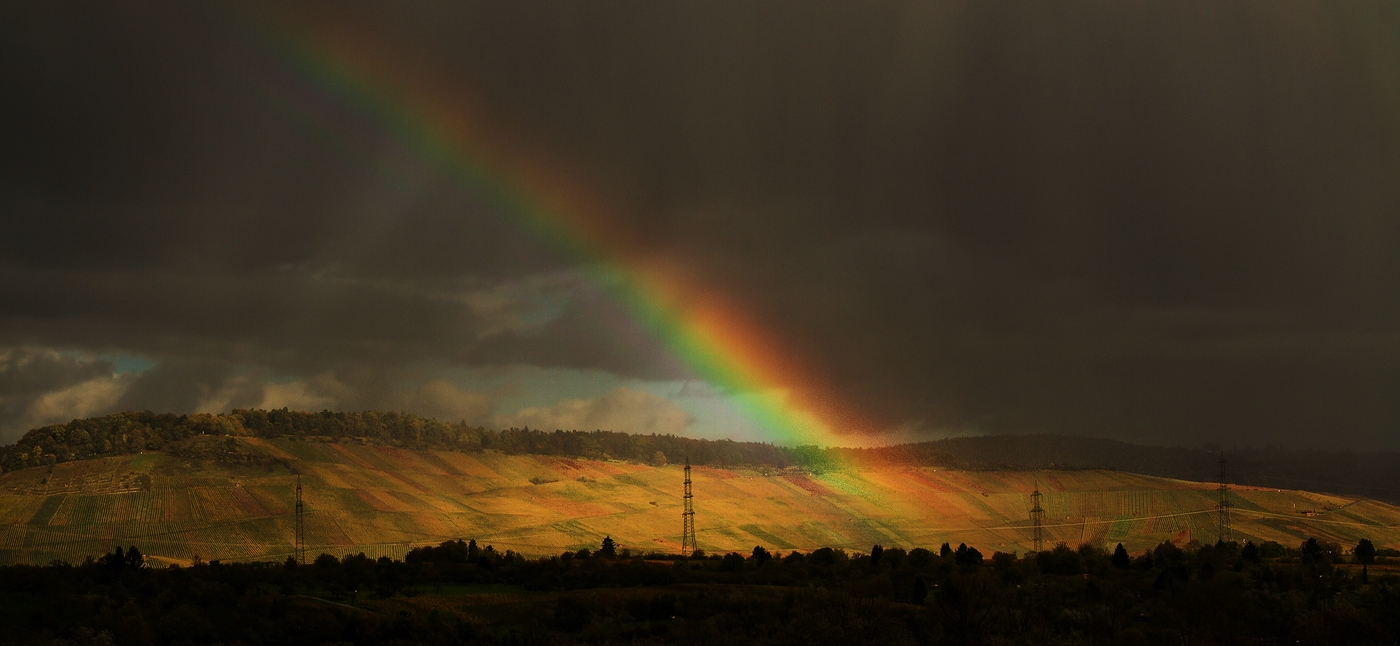 Weinberge der Heimat mit Regenbogensegment.