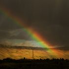 Weinberge der Heimat mit Regenbogensegment.