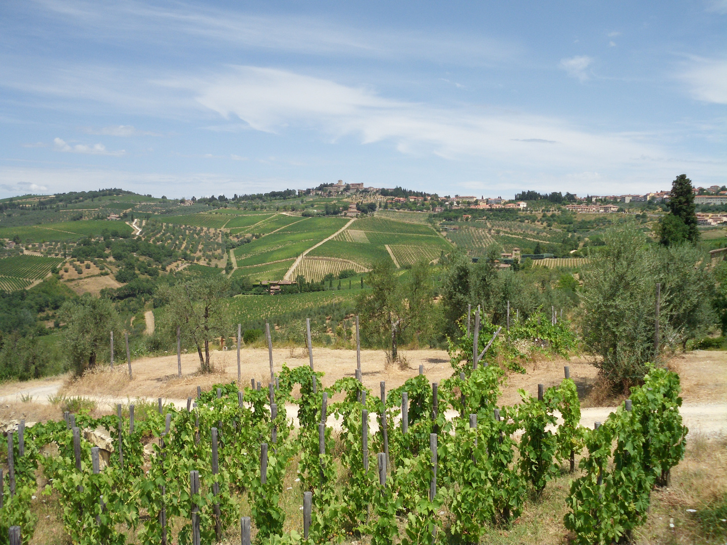 Weinberge der Toscana