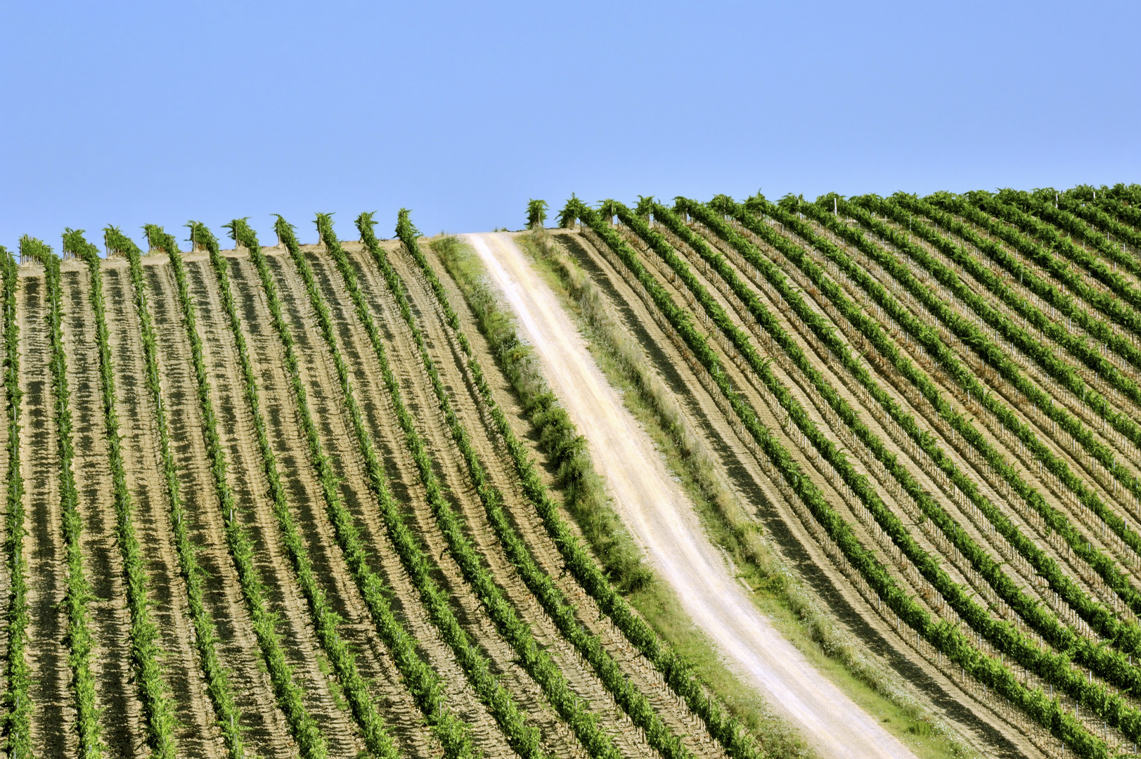 Weinberge der Toskana © JF-Fotografie, Jürgen Feuerer