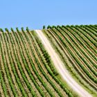 Weinberge der Toskana © JF-Fotografie, Jürgen Feuerer