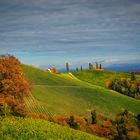 Weinberge