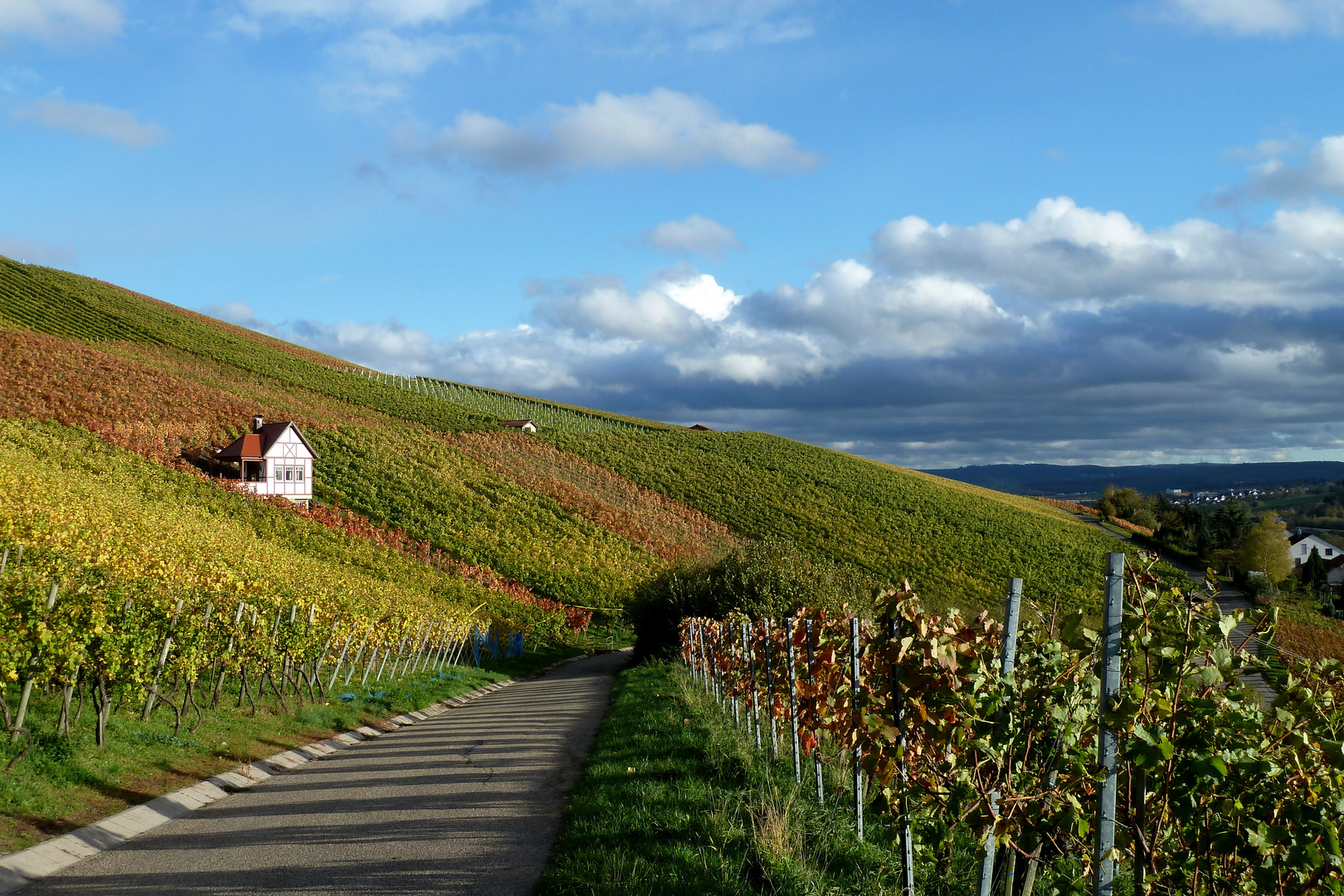 Weinberge, Erlenbach