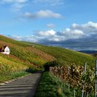 Weinberge, Erlenbach