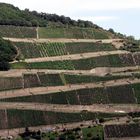 Weinberge für Schwindelfreie