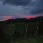 Weinberge im Abendrot