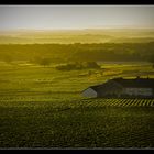 Weinberge im Burgund