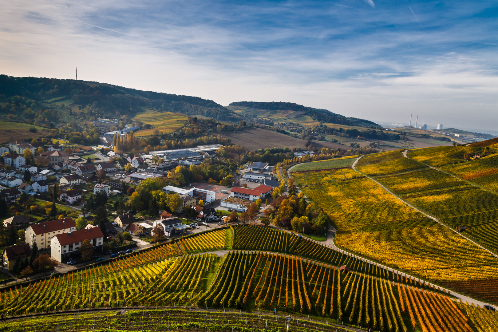 Weinberge im Herbst