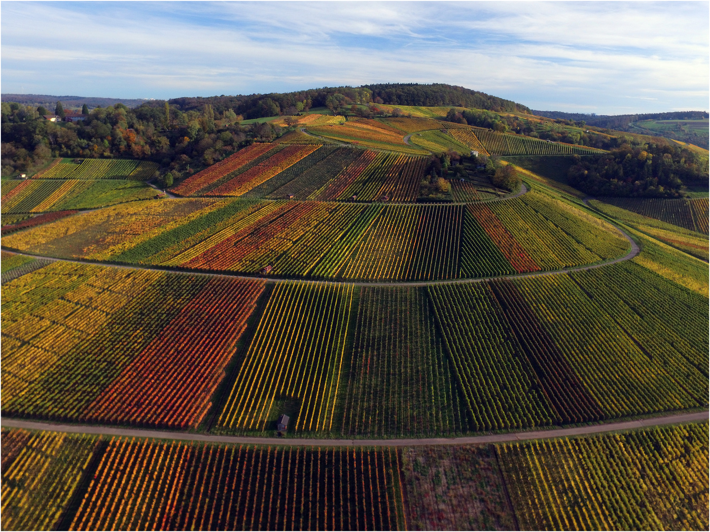 Weinberge im Herbst