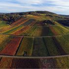 Weinberge im Herbst