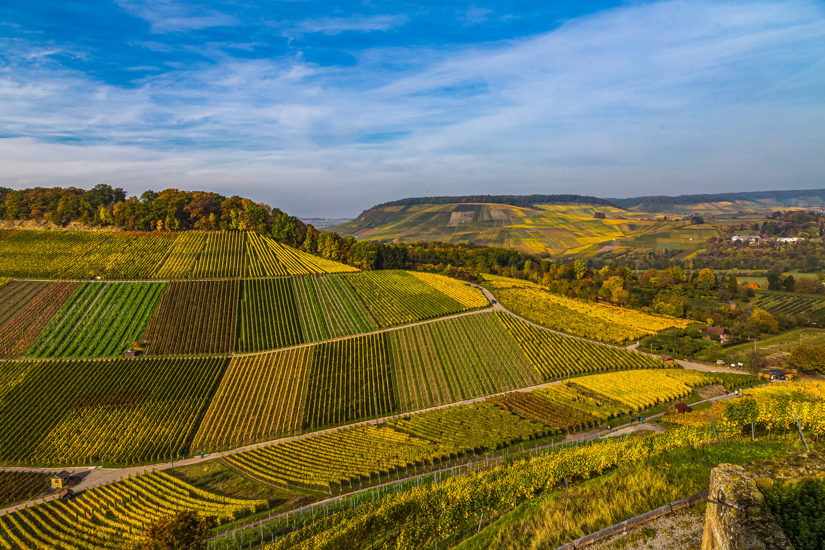 Weinberge im Herbst #2