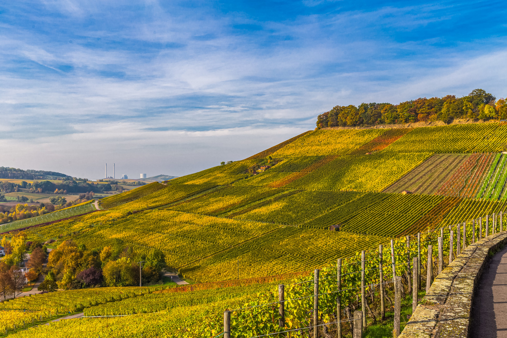 Weinberge im Herbst