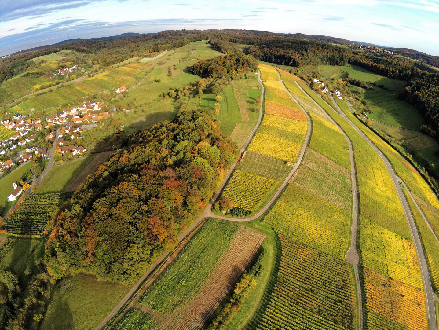 Weinberge im Herbst