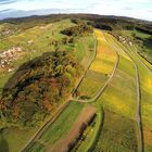 Weinberge im Herbst