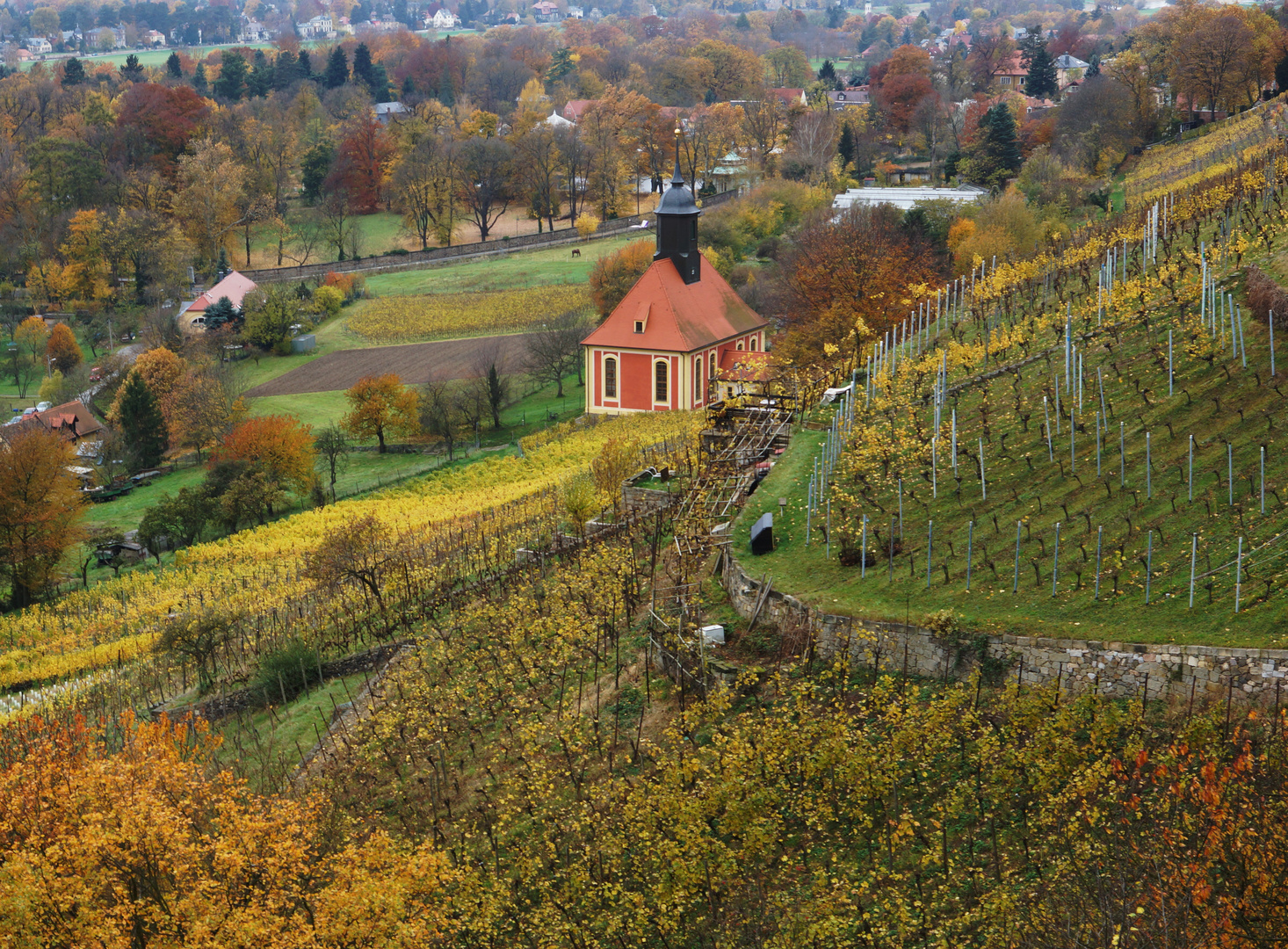 Weinberge im Herbst