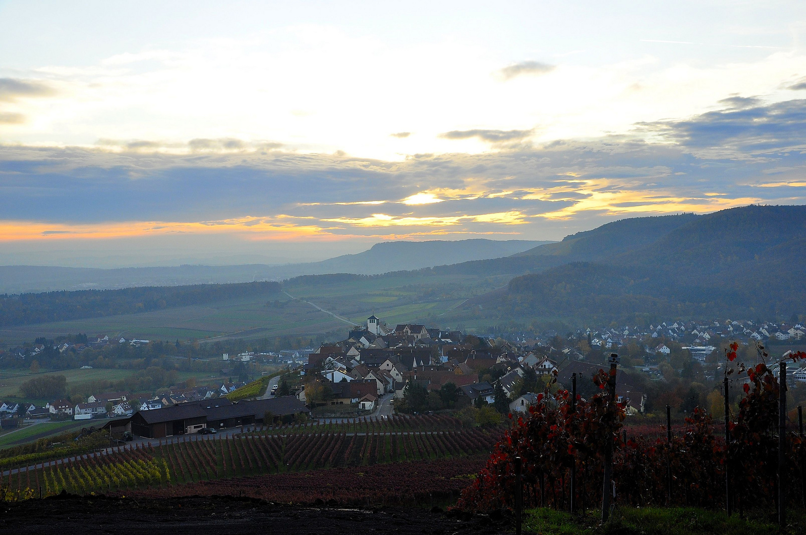 Weinberge im Herbst