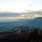 Weinberge im Herbst