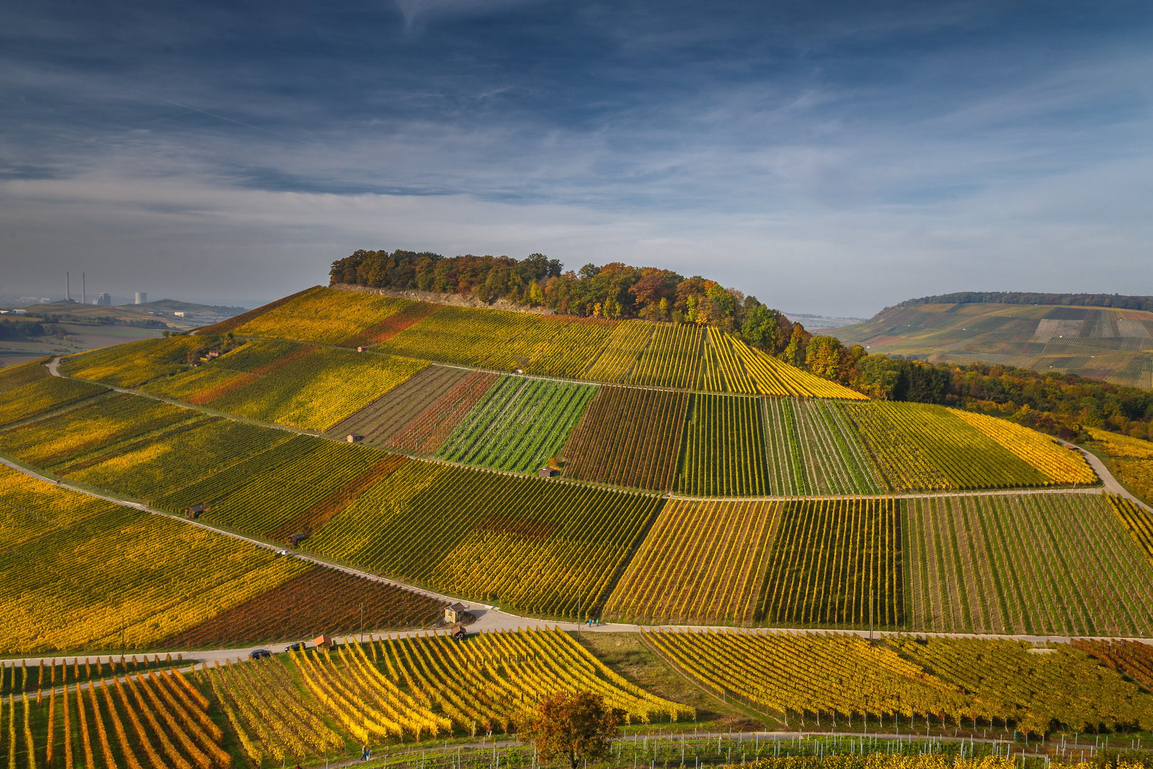 Weinberge im Herbst