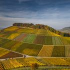 Weinberge im Herbst