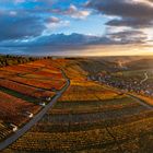 Weinberge im Herbst