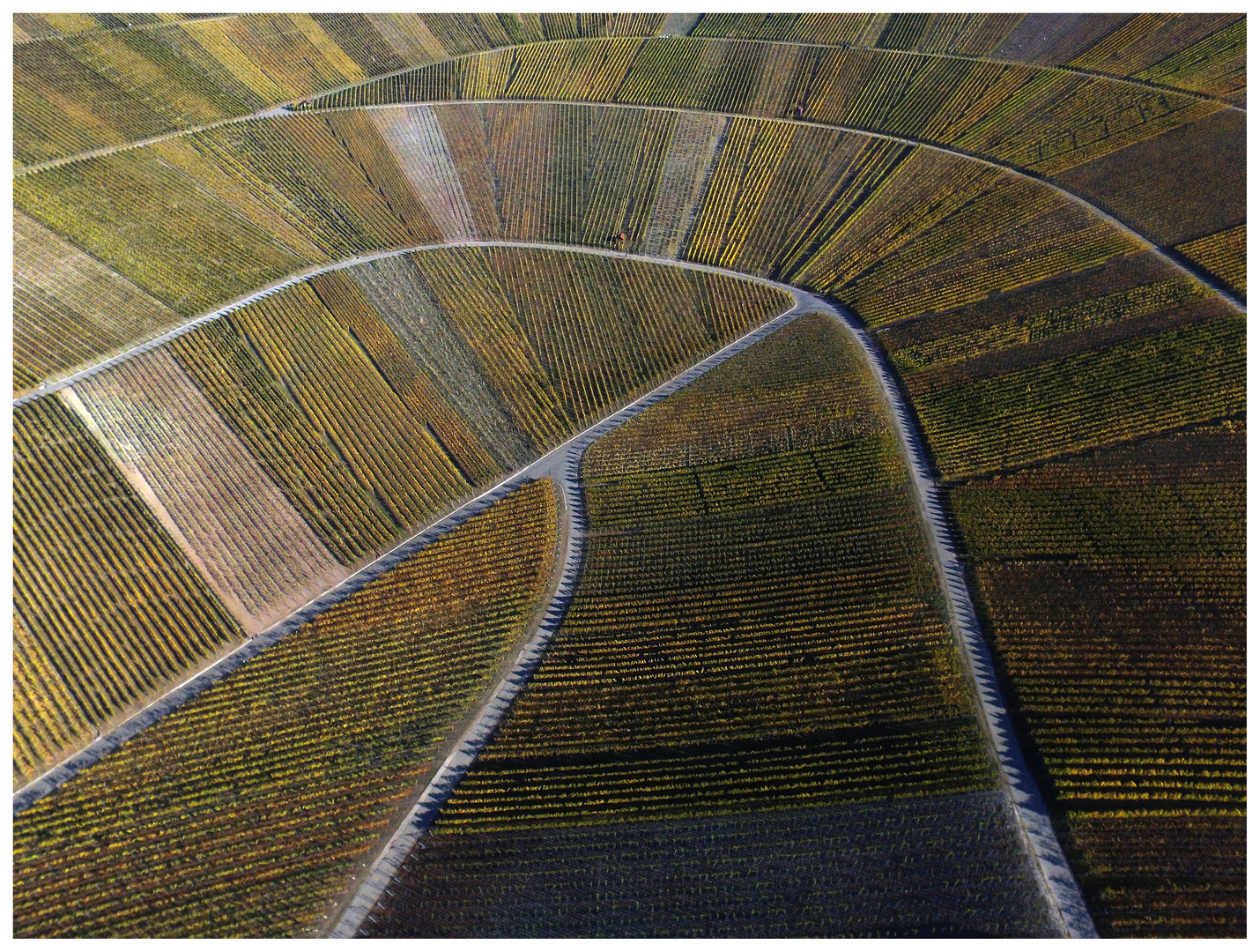 Weinberge im Herbst