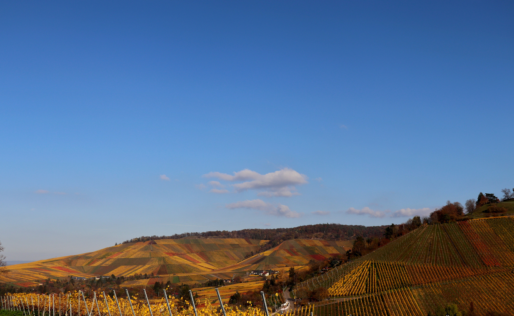 Weinberge im Herbst 