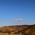 Weinberge im Herbst 