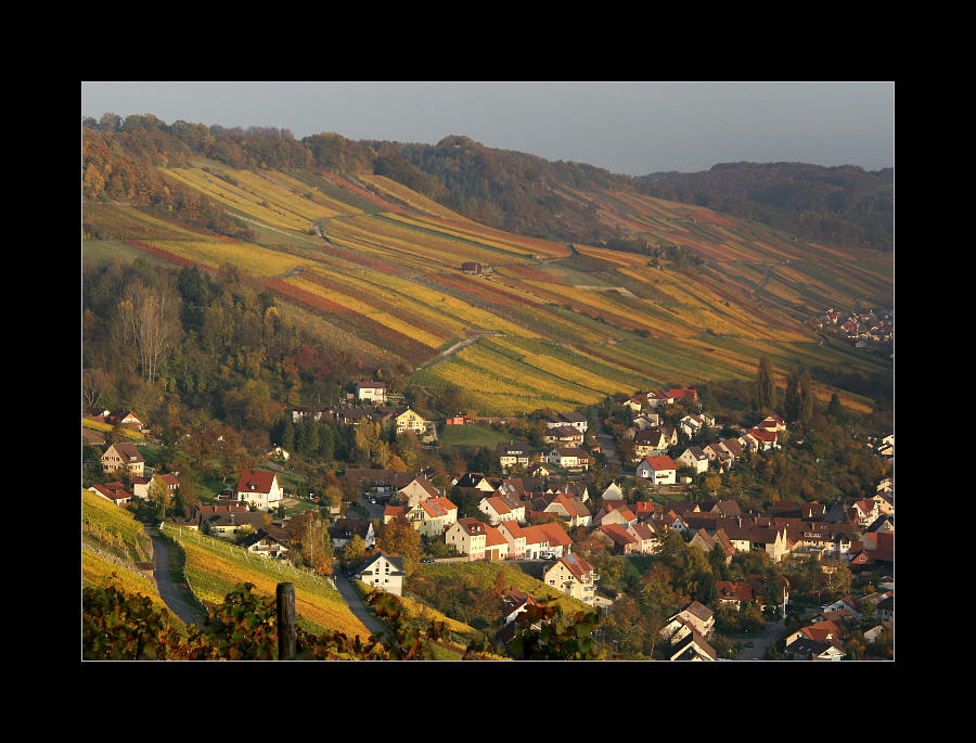 Weinberge im Kochertal