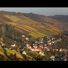 Weinberge im Kochertal