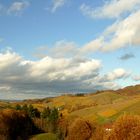 °°°° Weinberge im November °°°°