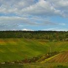 Weinberge im Remstal