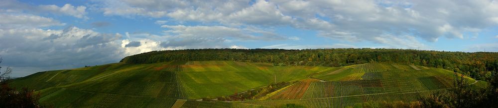 Weinberge im Remstal