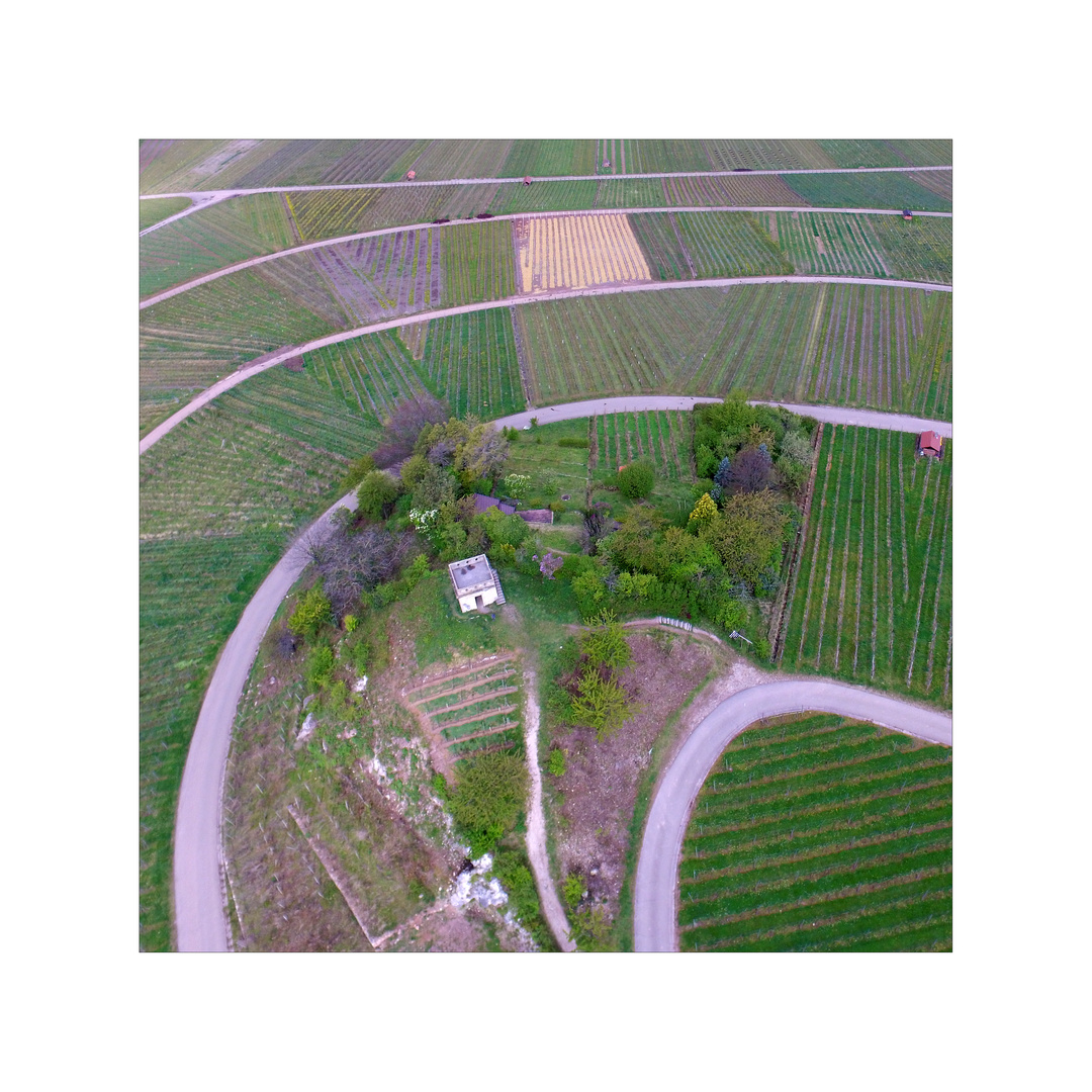 Weinberge im Remstal